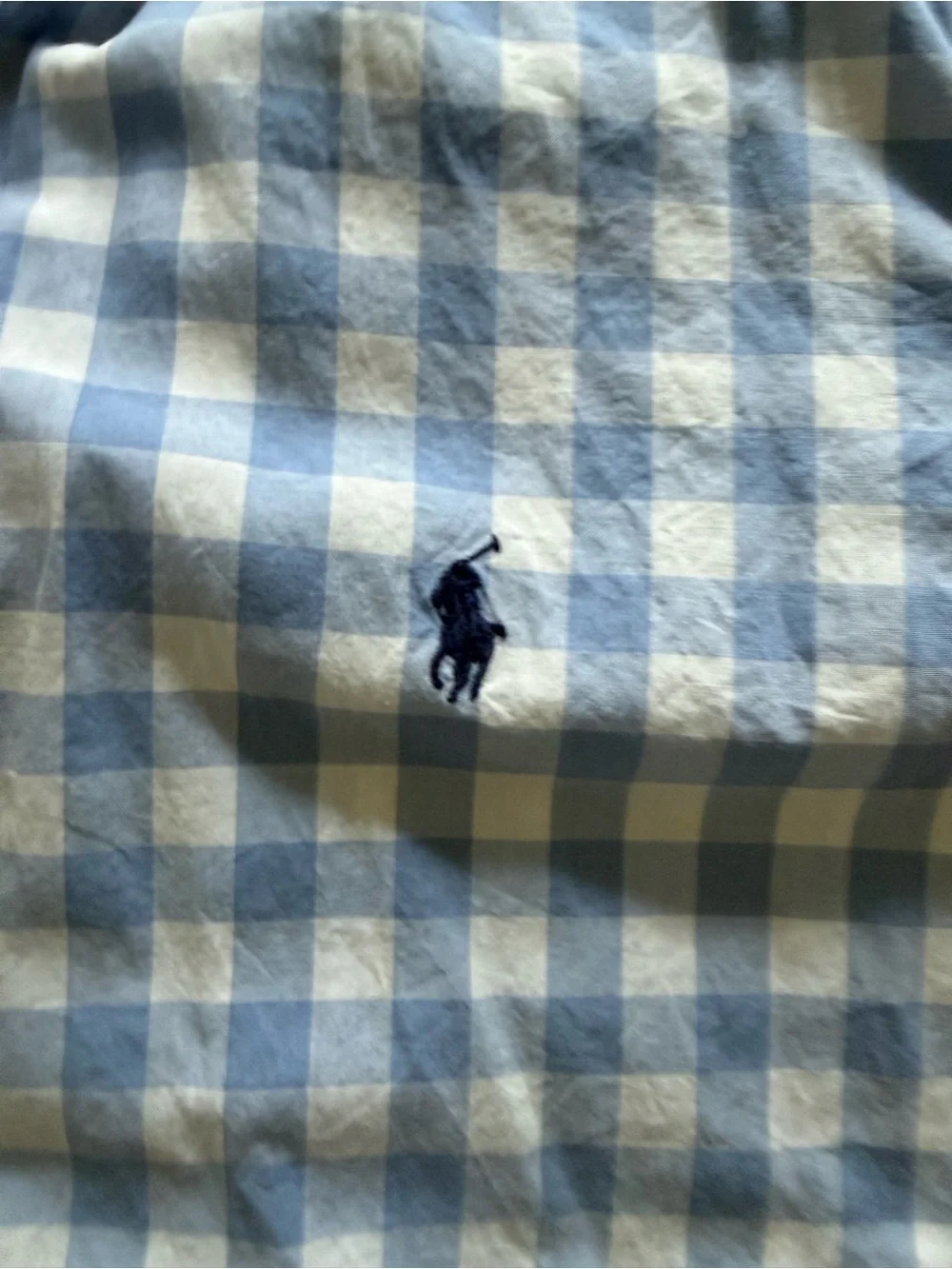 Polo by Ralph Lauren Light Blue and White Gingham Button-Down Shirt